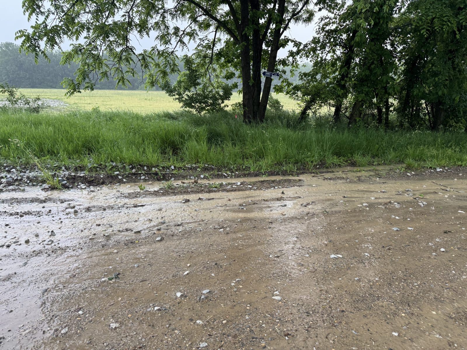 Silt deposited at the field edge
