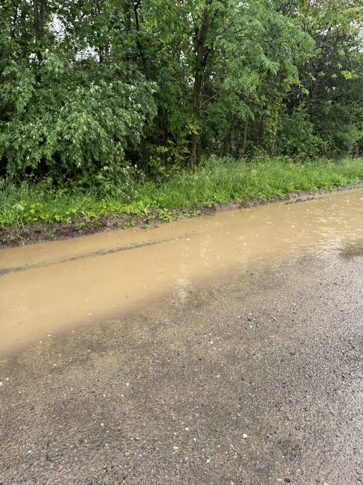 Muddy water pooling along the property line