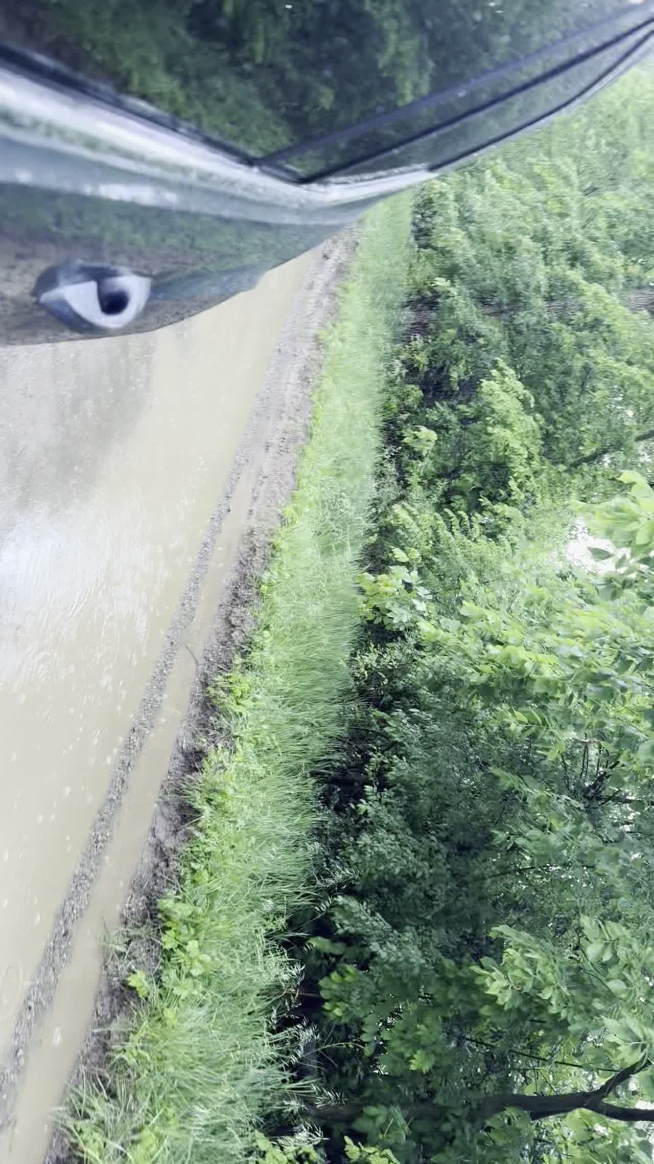 Discharge running south in the ditch